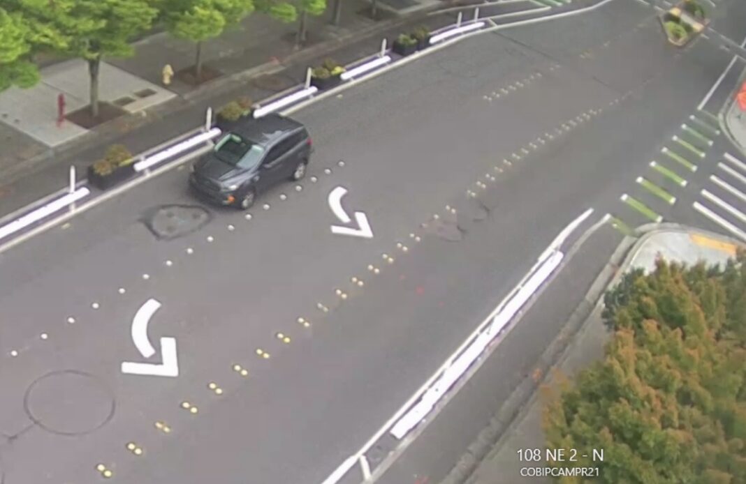 Bellevue Theft